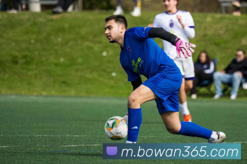 博万体育平台生态图